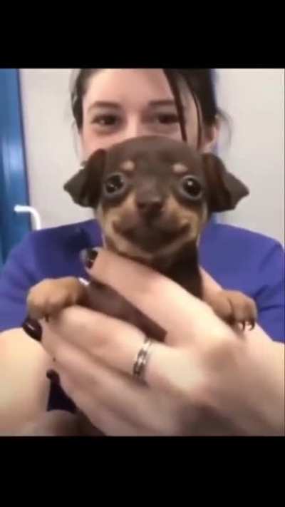 🙂