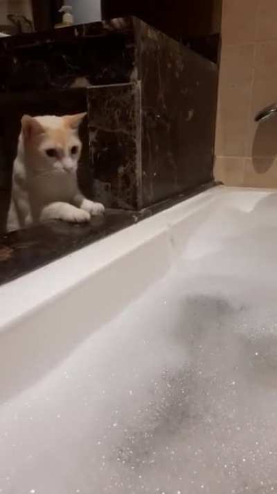Bubble taps