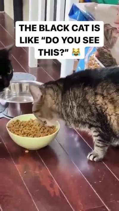 Not sharing today.