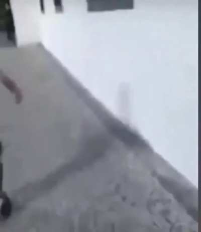 O noivo e Corno
