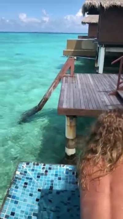 Honeymoon Sex Tape in Paradise-Sex Vacations !!