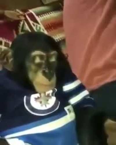 Monke high