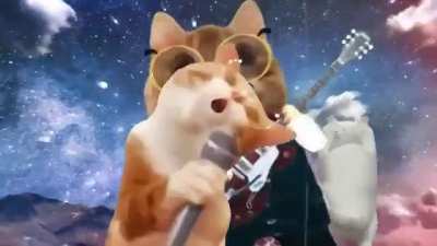 the hapi band
