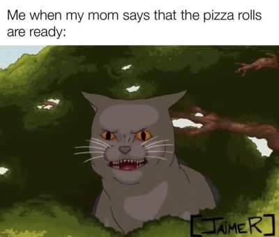I am summoned