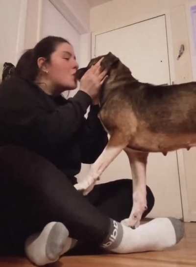 Dog's reaction to being adopted..🐕🐾🥺❤️