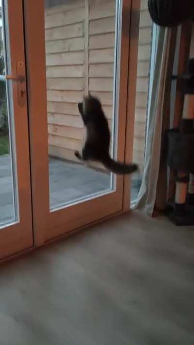 Too high for me