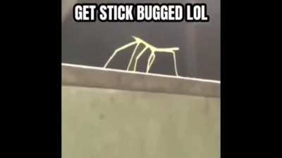 This is not a Rick Roll
