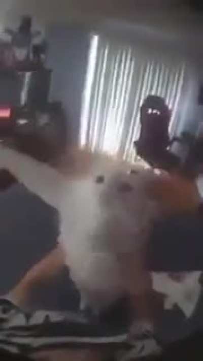 wheeee!