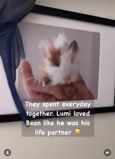 I’m not crying, you’re crying