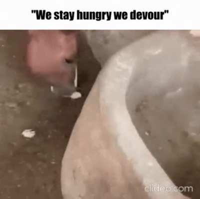 Hungy