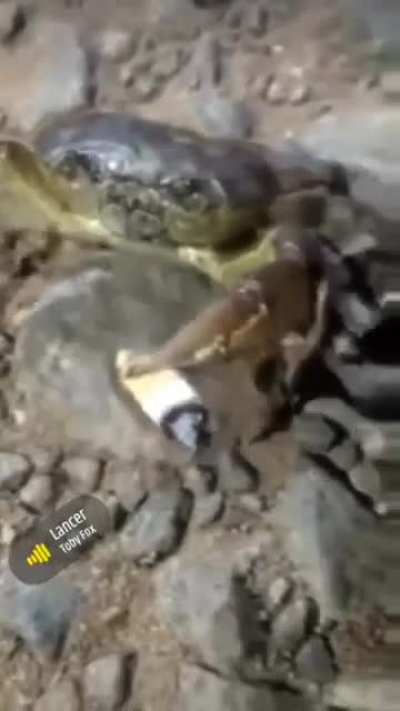 Cheefing that shit