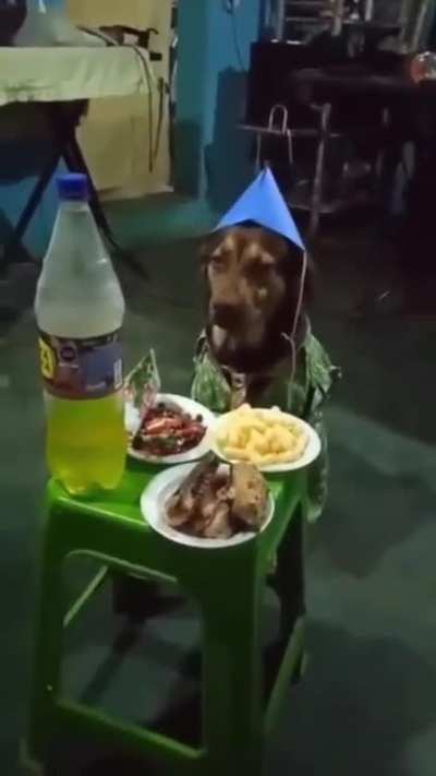 No me rompas las bolas flaco estoy en el cumple del pichicho