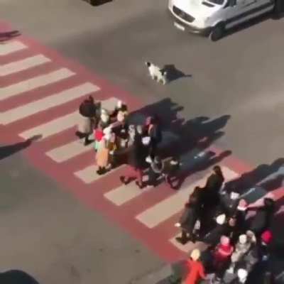 Don't you dare move!