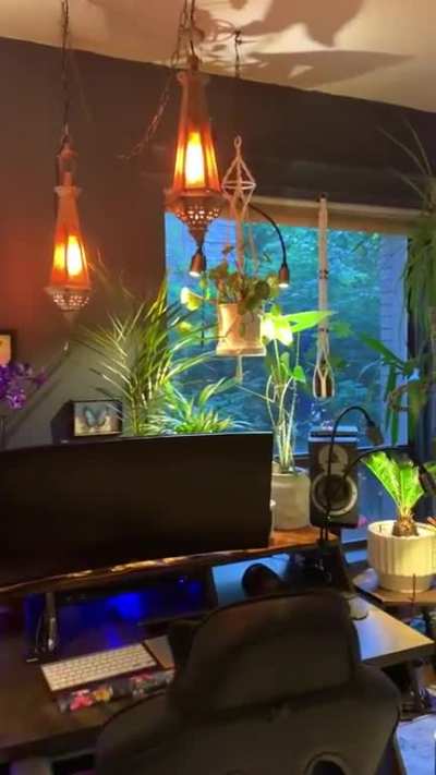 I like plants.