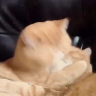 lick lick OM NOM NOM NOM