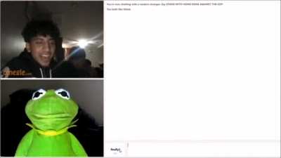Kermit Da Frog