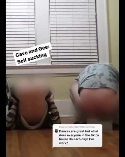 what tiktok 
