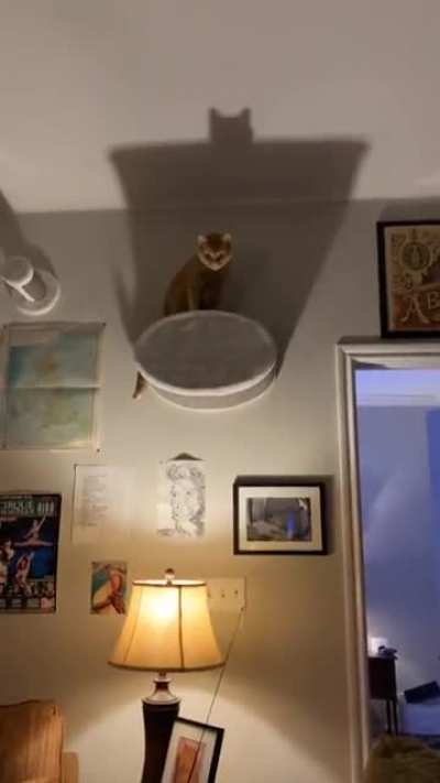 all hail kevin