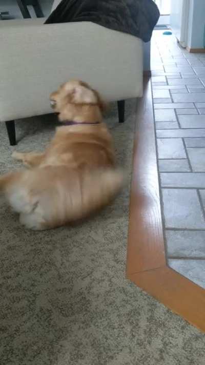 A moment in the life of Maggie