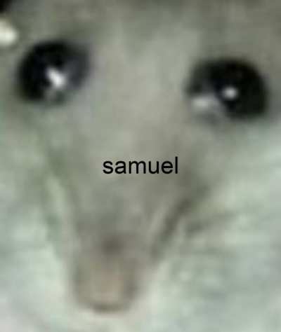 anima= rat😳😳😳😳😳😳😳🤫🤫🤫🤫🤫🤫🤫👏🤨🤨🤨🤨🤨🤨🤨🤨🤥🤥🤣🤣🤣🤣🤣🤣🤣