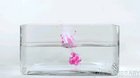 Here is your caesium + water