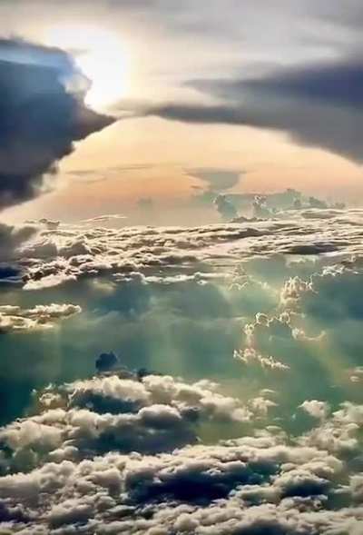 Nature's best