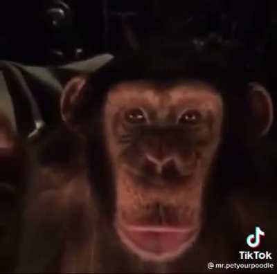 Hypin up da monke