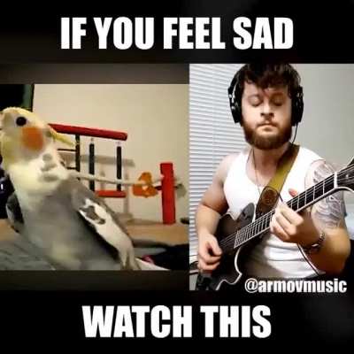 Just doing this to save the video