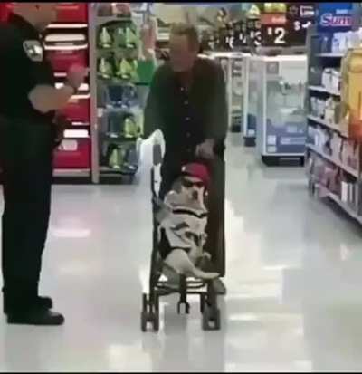 Shitpost 120 facha