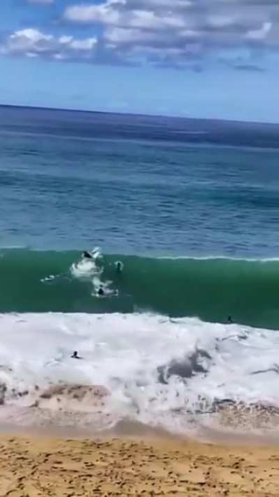 Cowabunga Ahhhhhh