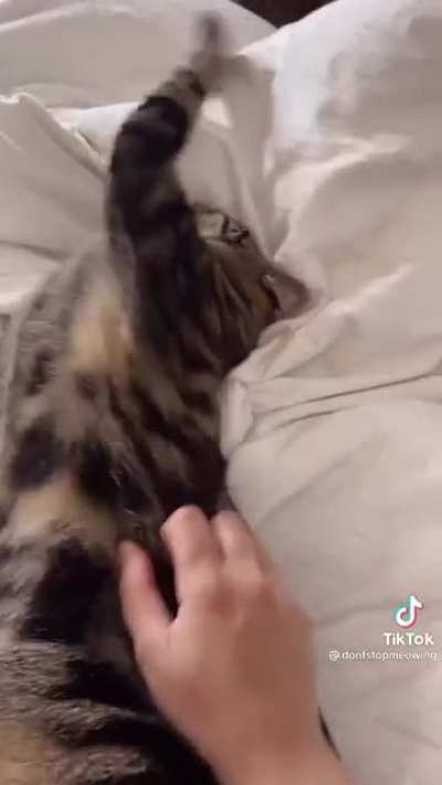 EeeeAAAAA—