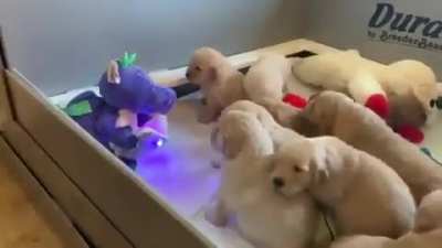 Сейчас у меня треснет от умиле<wbr>ния