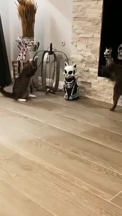 Not a big fan of Halloween, I guess.