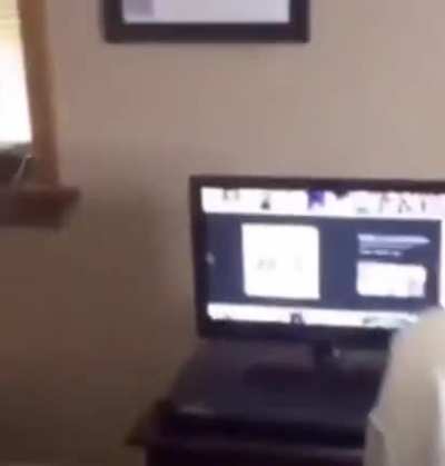 cursed_frank
