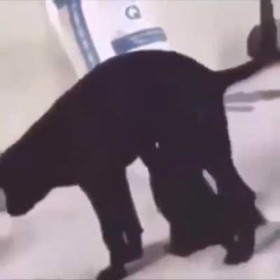 to drink some milk