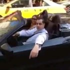 Cursed screams