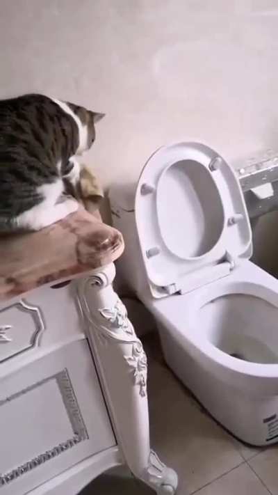 Lol, Plop