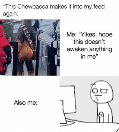 Not now Chewy, I’m working