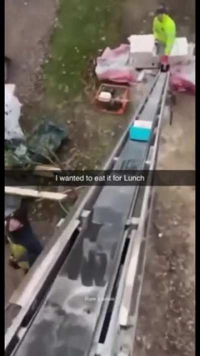 lunch