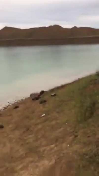Almost made it