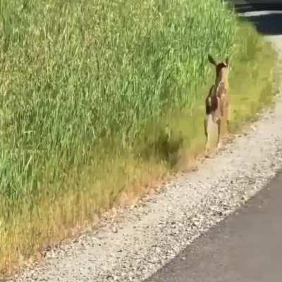 “Hi. bye.”