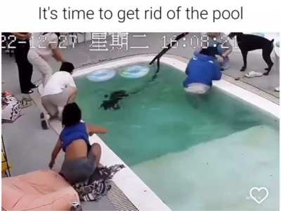 to avoid getting wet, but wanting to save a dog.