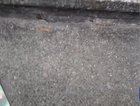 Cat vs mailman