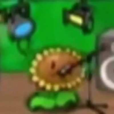 🌻