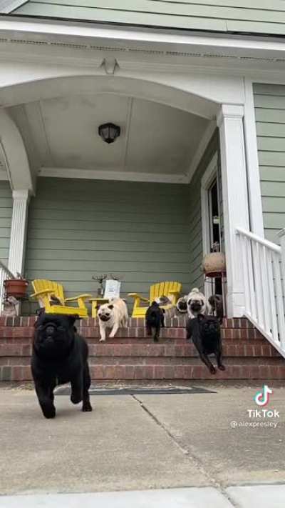 Here they come!