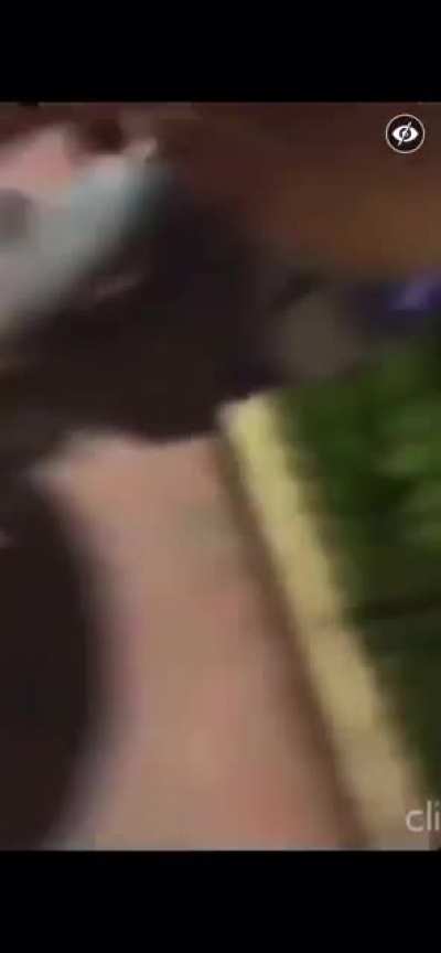 Dudes from Brooklyn Break Up Animal Abuser