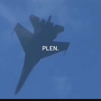 PLEN.