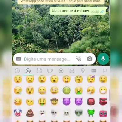 Só sucesso