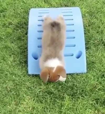 At least he tried his best