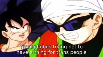 Tr(ule)ans rights